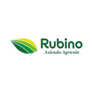 logoS-rubino
